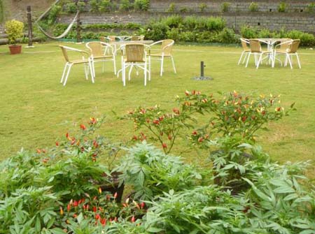 Lawn