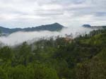 Around Chail View