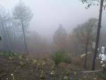 Around View Chail