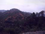 Around View