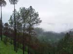 Chail Around 