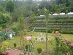 Lawn View