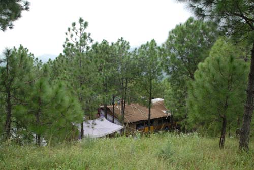 Nature Treat Eco Village Campa2
