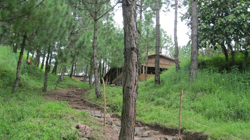 Nature Treat Eco Village Campa4