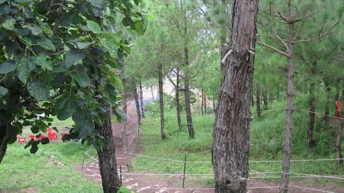 Nature Treat Eco Village Campa6