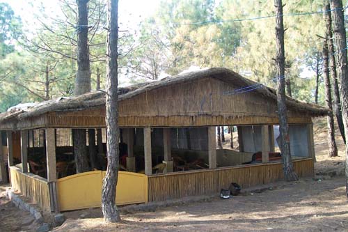 Nature Treat Eco Village Campa8