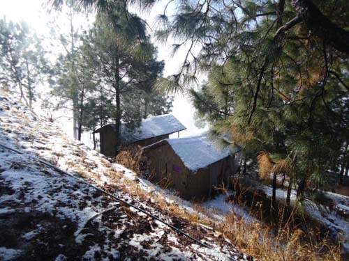 Nature Treat Eco Village Campb2