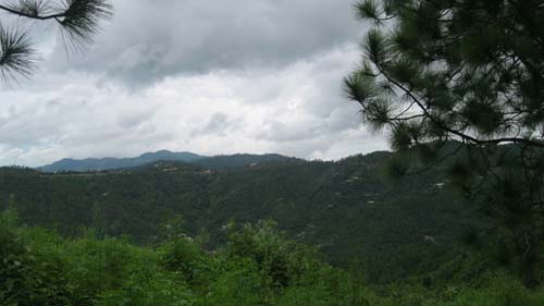 Nature Treat Eco Village Campc6