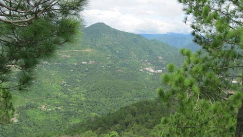 Nature Treat Eco Village Campc8