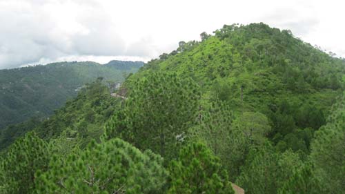 Nature Treat Eco Village Campc9
