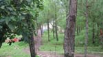 Nature Treat Eco Village Campa6