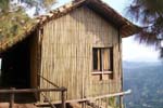 Nature Treat Eco Village Campb1