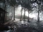Nature Treat Eco Village Campb4