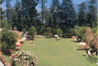 Orchard Green Around
