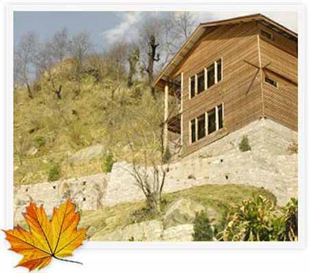 mapple-manali1