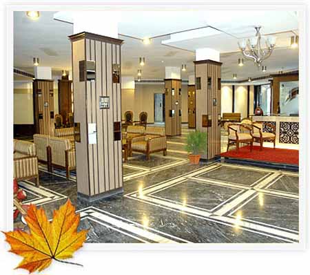 mapple-manali2