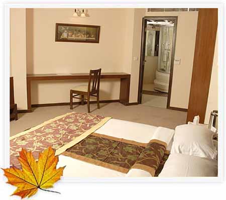 mapple-manali5