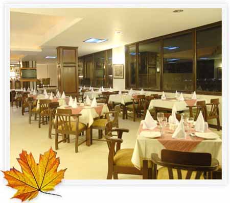 mapple-manali6