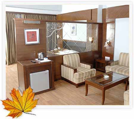 mapple-manali8