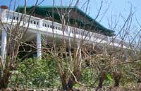 The Sundowner Cottage