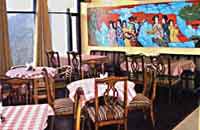 Suryra Resort Dharamshala, Surya Resorts Mcleodganj Dharamshala, Dharamshala Resort & Hotel.