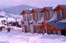 Hotel Asia- The Oasis Resort