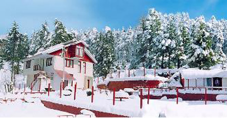 Welcome Vardaan Resorts Patnitop,Vardaan Resorts Patnitop,hill station hotels, hill station in India, hill station in north, hill station India, hill station near delhi, hill station of India, hill station resorts, hill stations in himachal, hill stations in India, hill stations in north, hill stations in north India.