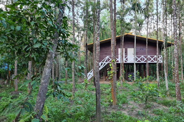 Deep Jungle Resort Bandipur 