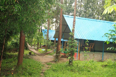 Deep Jungle Resort Bandipur 