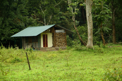 Deep Jungle Resort Bandipur 