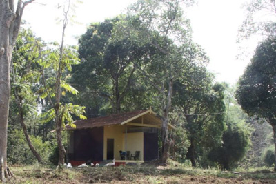 Deep Jungle Resort Bandipur 