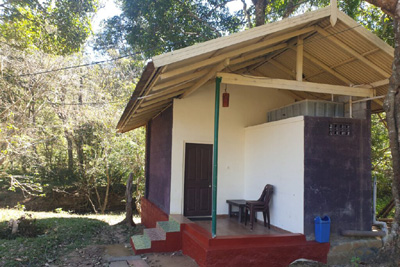 Deep Jungle Resort Bandipur 