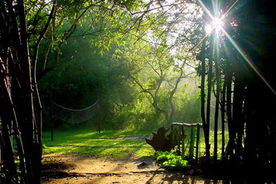 Tiger Ranch Resort Bandipur