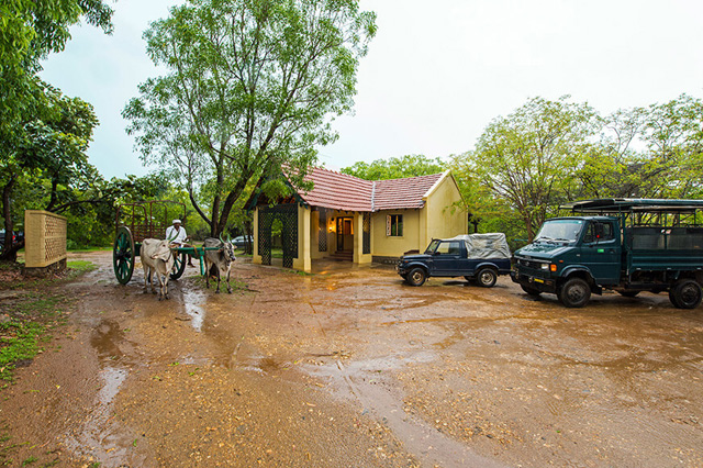 The Windflower Jungle Resort Bandipur