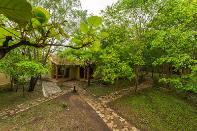 The Windflower Jungle Resort Bandipur