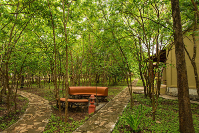 The Windflower Jungle Resort Bandipur