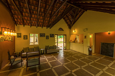 The Windflower Jungle Resort Bandipur