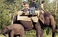 Jungle Lodges &amp; Resorts Eco Holidays, resort, kabini, dandeli, brt, b r hills, devbagh, karwar, doddamakali, galibore,bheemeshwari, beach, bnp, dubare, resorts, adventure, white, water, rafting, canoe, kayaking, kayak, canoeing, bird, watching, safari, jungle, karnataka, lodge, lodges, reservation, book, booking, price, season, visit, best, eco-tourism, ecotourism, destination, favourite, best, children, adult, love, peace, calm, nature.