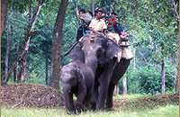 Jungle Lodges &amp; Resorts Eco Holidays, resort, kabini, dandeli, brt, b r hills, devbagh, karwar, doddamakali, galibore,bheemeshwari, beach, bnp, dubare, resorts, adventure, white, water, rafting, canoe, kayaking, kayak, canoeing, bird, watching, safari, jungle, karnataka, lodge, lodges, reservation, book, booking, price, season, visit, best, eco-tourism, ecotourism, destination, favourite, best, children, adult, love, peace, calm, nature.