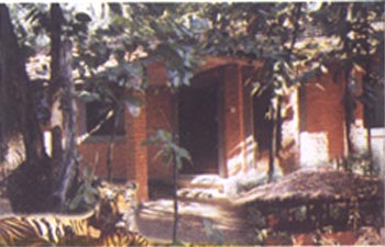 Kanha Jungle Lodge