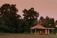 Mahua Kothi View