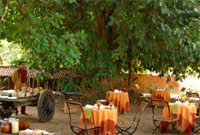 Mahua Kothi Outdoor Dinning