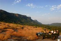 Mahua Kothi Wildlife Safari