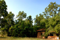 Mahua Kothi Suit Exterior