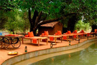 Mahua Kothi Pool Side