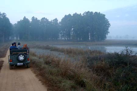 Jeep Safari view