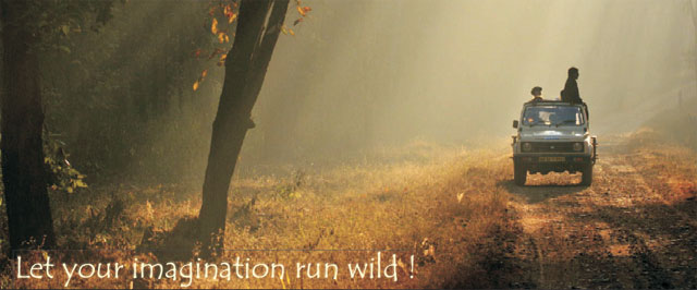 Reni Pani jungle lodge Satpura National Park