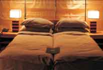 Reni Pani jungle lodge Satpura National Park