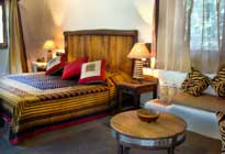 Reni Pani jungle lodge Satpura National Park