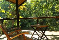 Reni Pani jungle lodge Satpura National Park